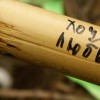послание на бамбуке