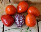Символ Пасхи Символ Пасхи
